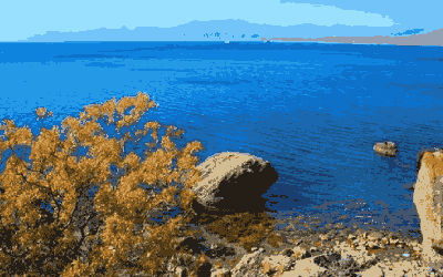 襄阳五中实验中学：一所不可错过的宝藏学校！